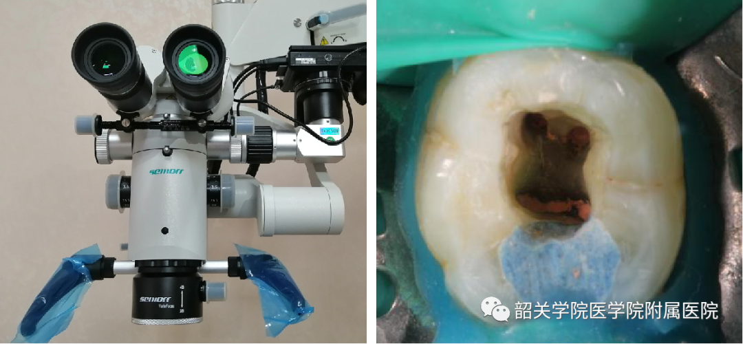 口腔科简介